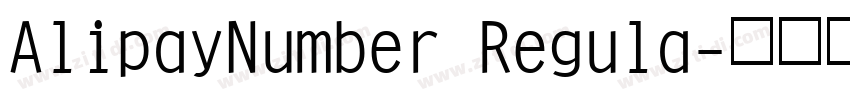 AlipayNumber Regula字体转换